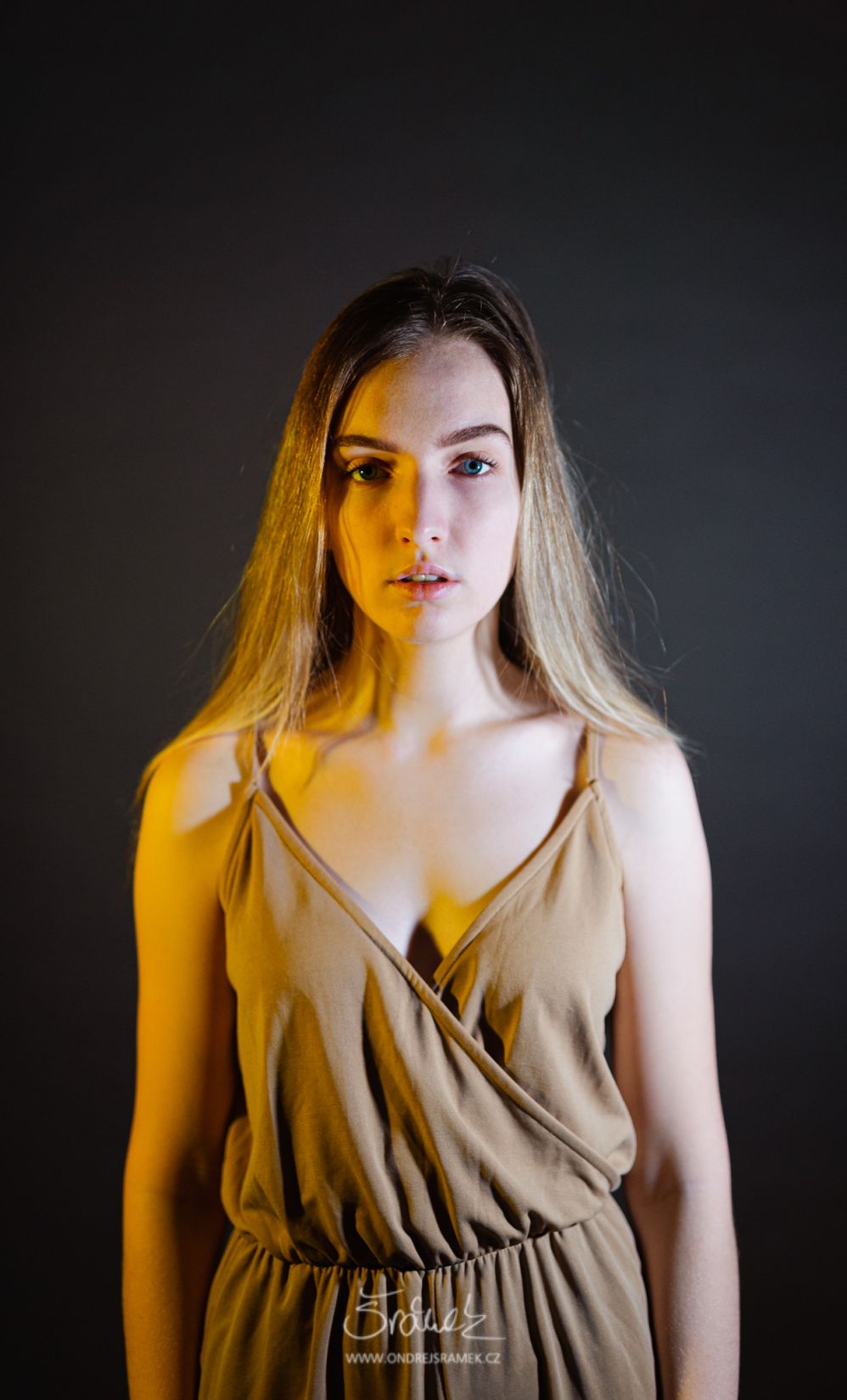 Natali A portrait of a woman against a dark background, lit with continuous LED light
